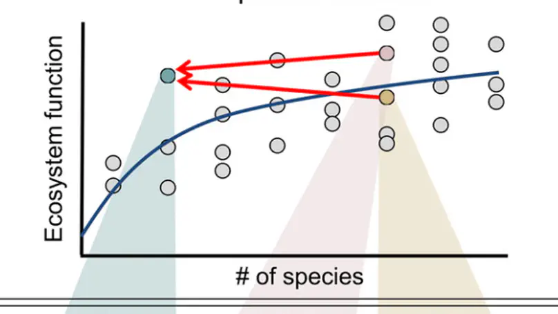 Biodiversity