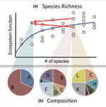 Biodiversity