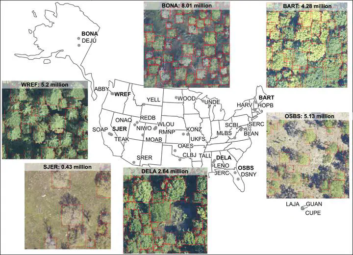 Map of the United States showing the location of the National Ecological Observatory network sites with example crown delineations for a subset of sites showing trees delineated with square bounding boxes.