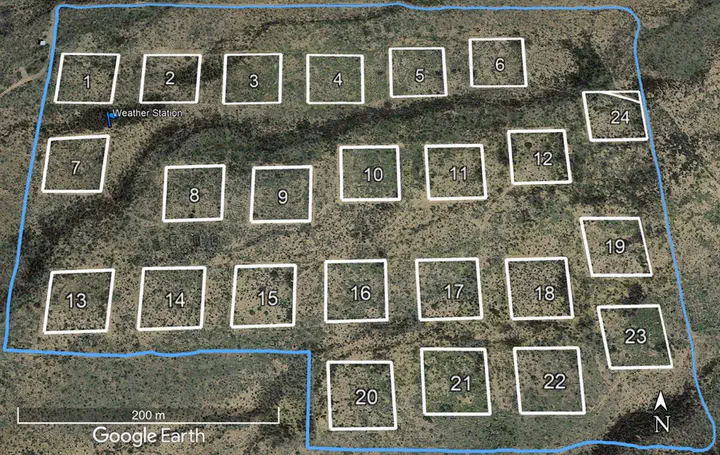 Google Earth image of the Portal Project study site showing the outline of the site in blue and the outlines of 24 square plots in white. The habitat is desert shrubland.