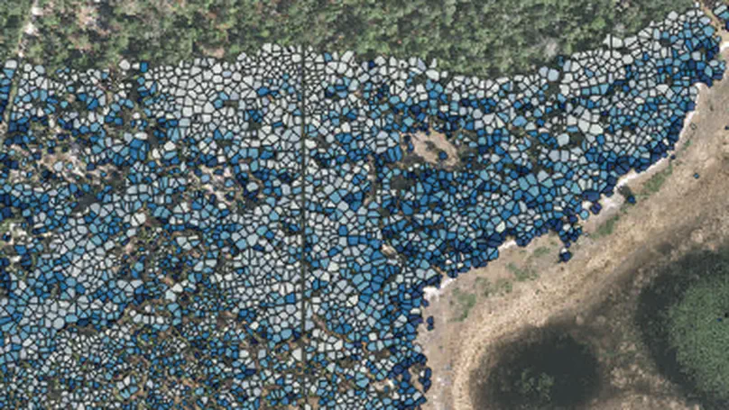 Forest Remote Sensing